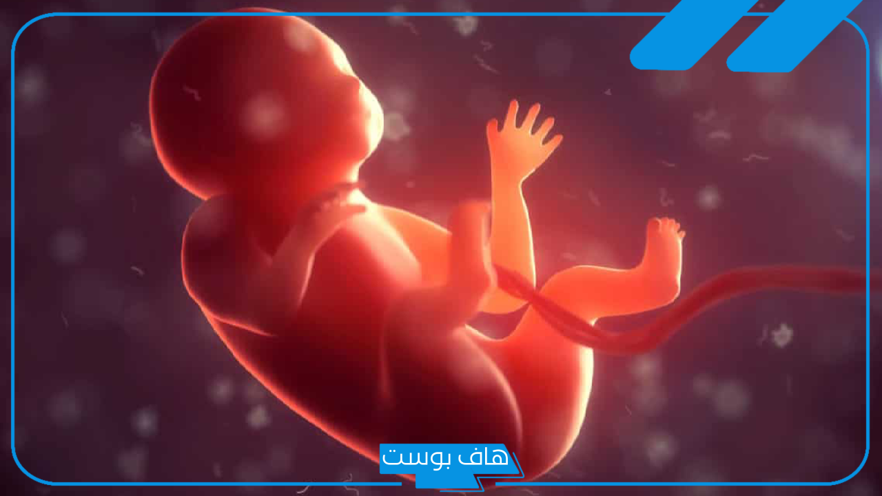 تجربتي مع زيادة الماء حول الجنين كاملة بالأعراض والعلامات