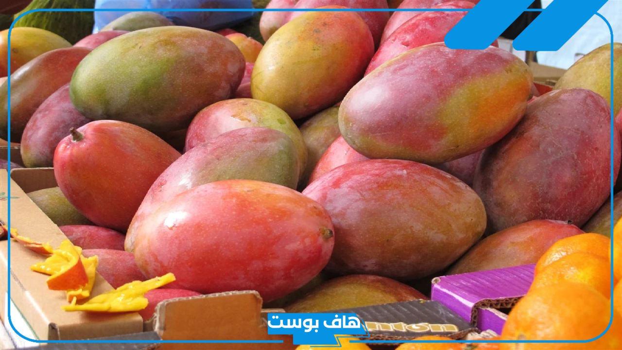 تفسير رؤية حلم المانجو الصفراء في المنام لكبار العلماء