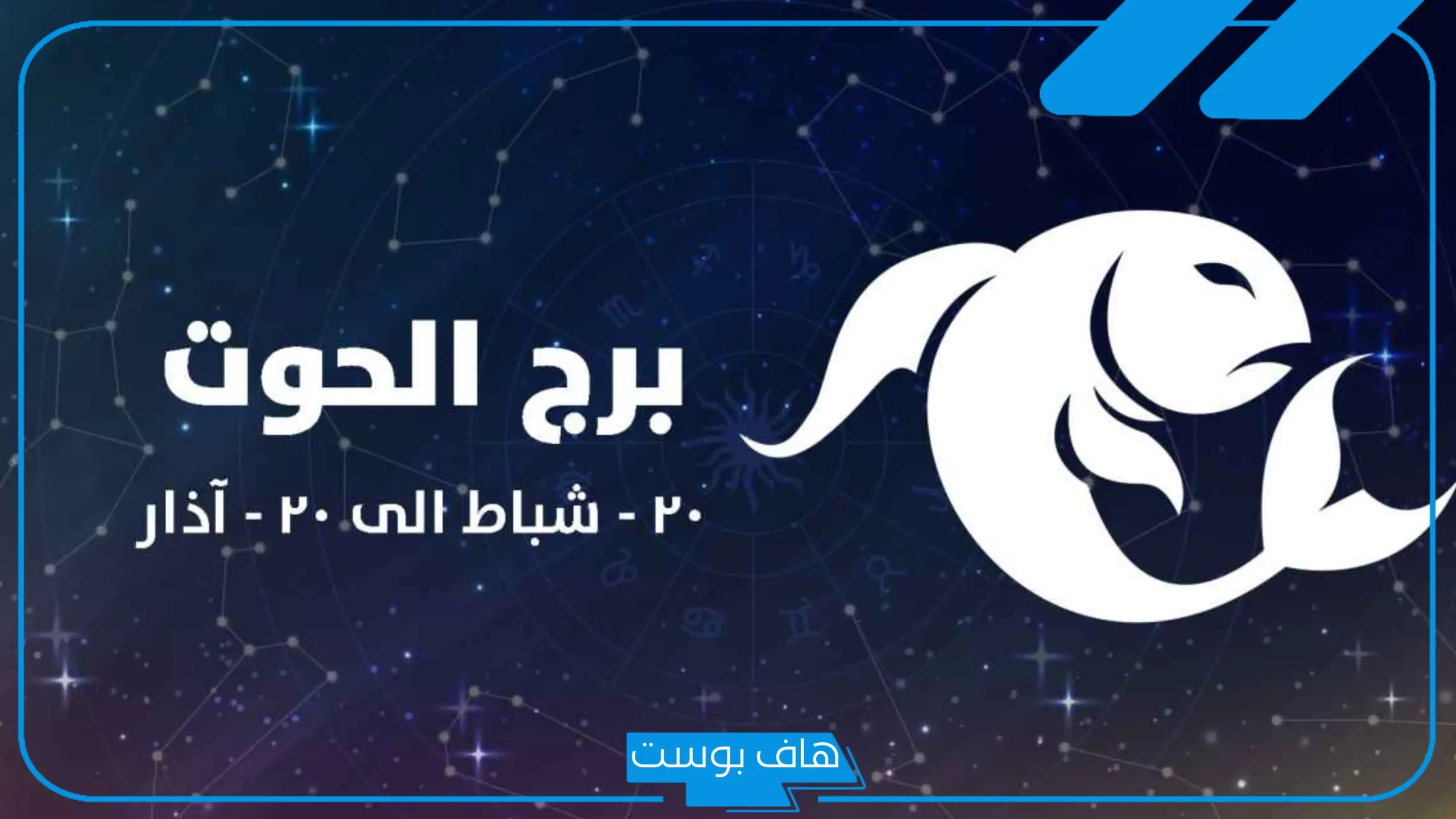 مواصفات برج الحوت، عيوب برج رجل الحوت
