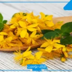 تجربتي مع عشبة القديسين بالأضرار والفوائد وطريقة الاستعمال
