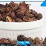 تجربتي مع قشر القهوه للتنحيف والتخسيس.. فوائد قشر القهوة للنساء