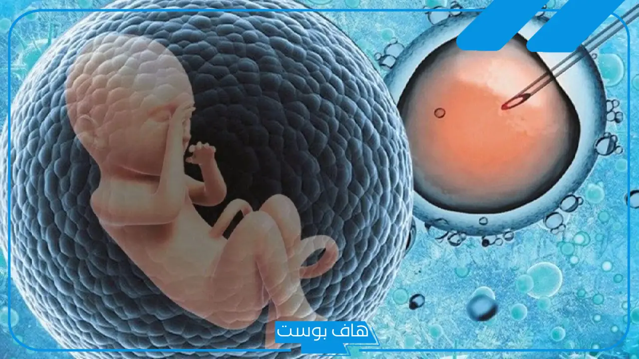 تجربتي الحقن المجهري مع الدكتور بندر العبدالكريم وما سر نجاح العملية