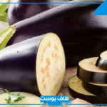 تفسير حلم الباذنجان في المنام الأسود المقلي للعزباء والمتزوجة لابن سيرين