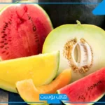 تفسير حلم أكل البطيخ في المنام ورمزه لابن سيرين والنابلسي