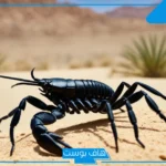 تفسير حلم العقرب في المنام أصفر وأسود ولدغته لكبار العلماء