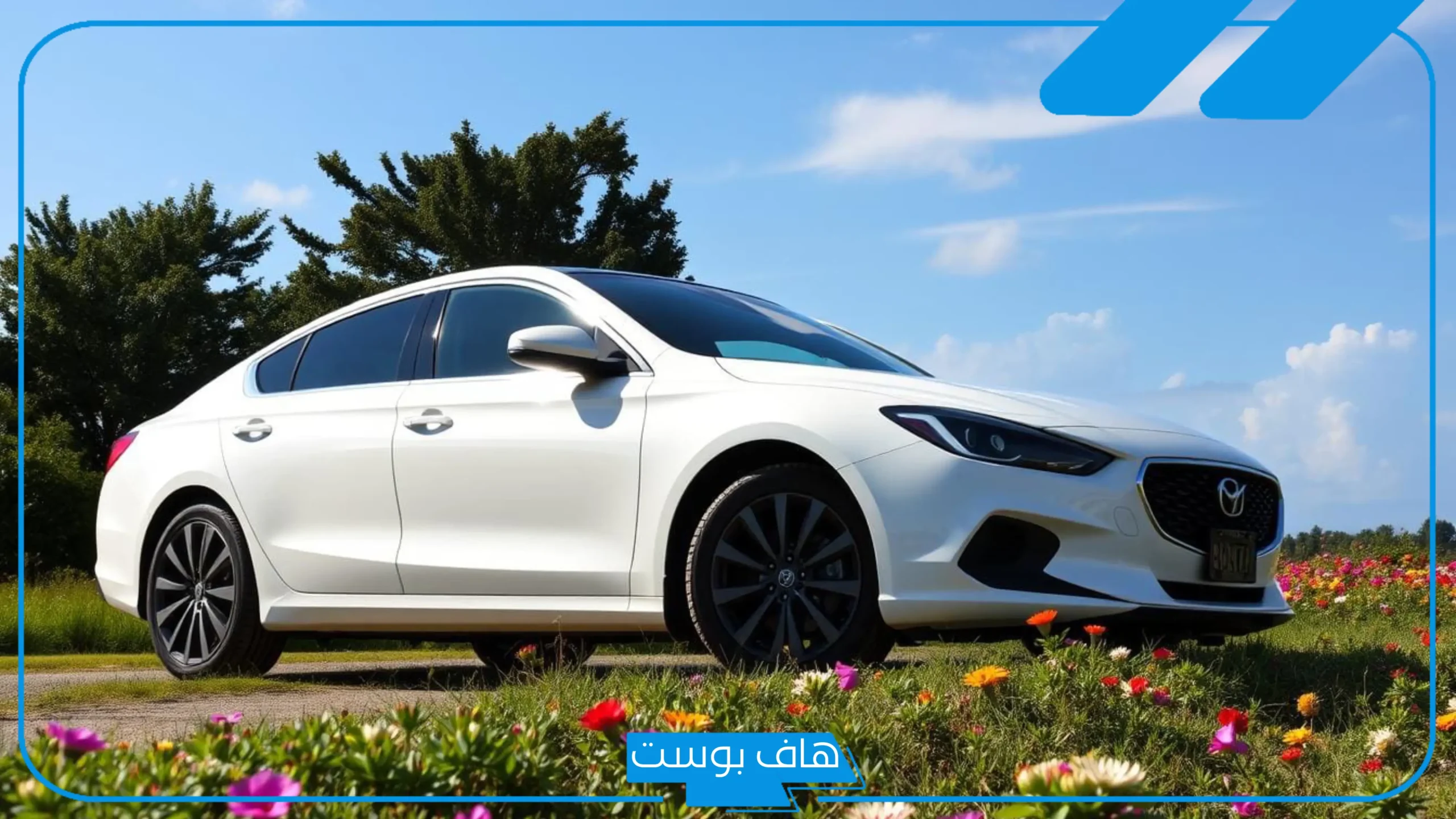 تفسير حلم السيارة البيضاء للمتزوجة والمطلقة والرجل في المنام لابن سيرين