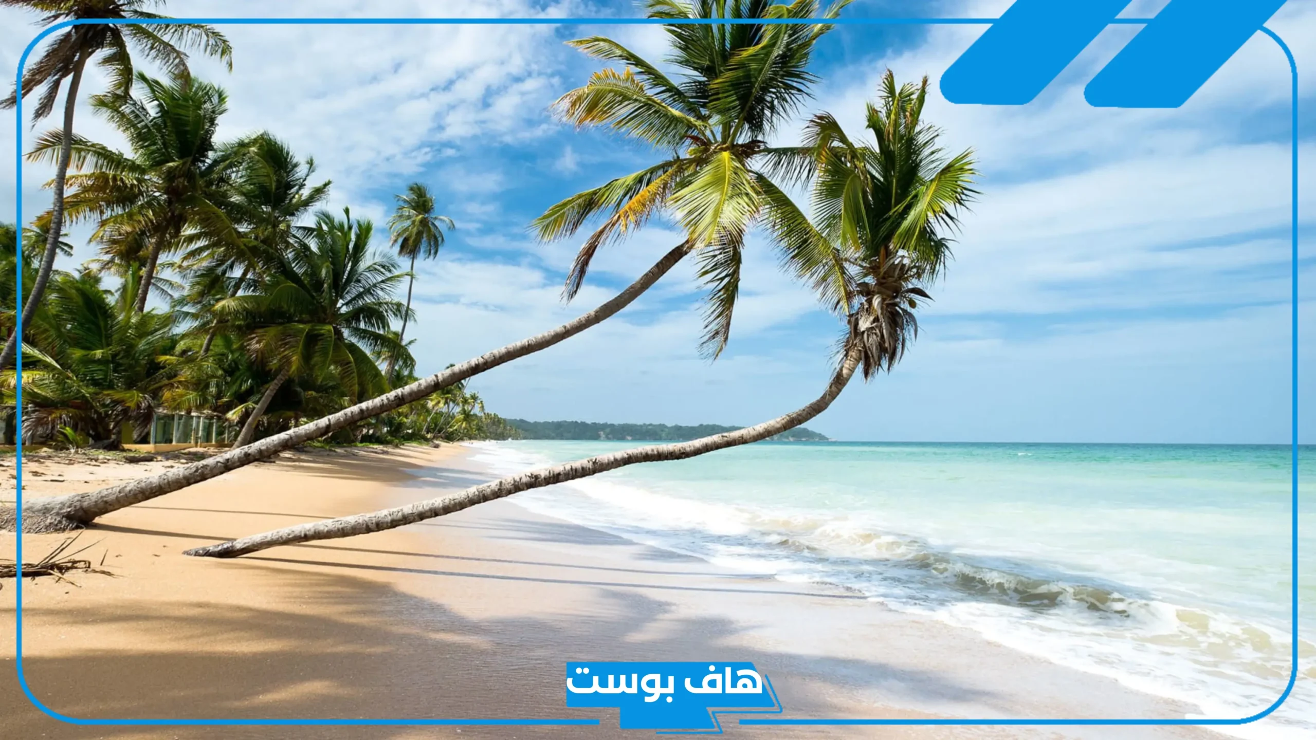 تفسير رؤية شاطئ البحر في المنام للمتزوجه والحامل لابن سيرين