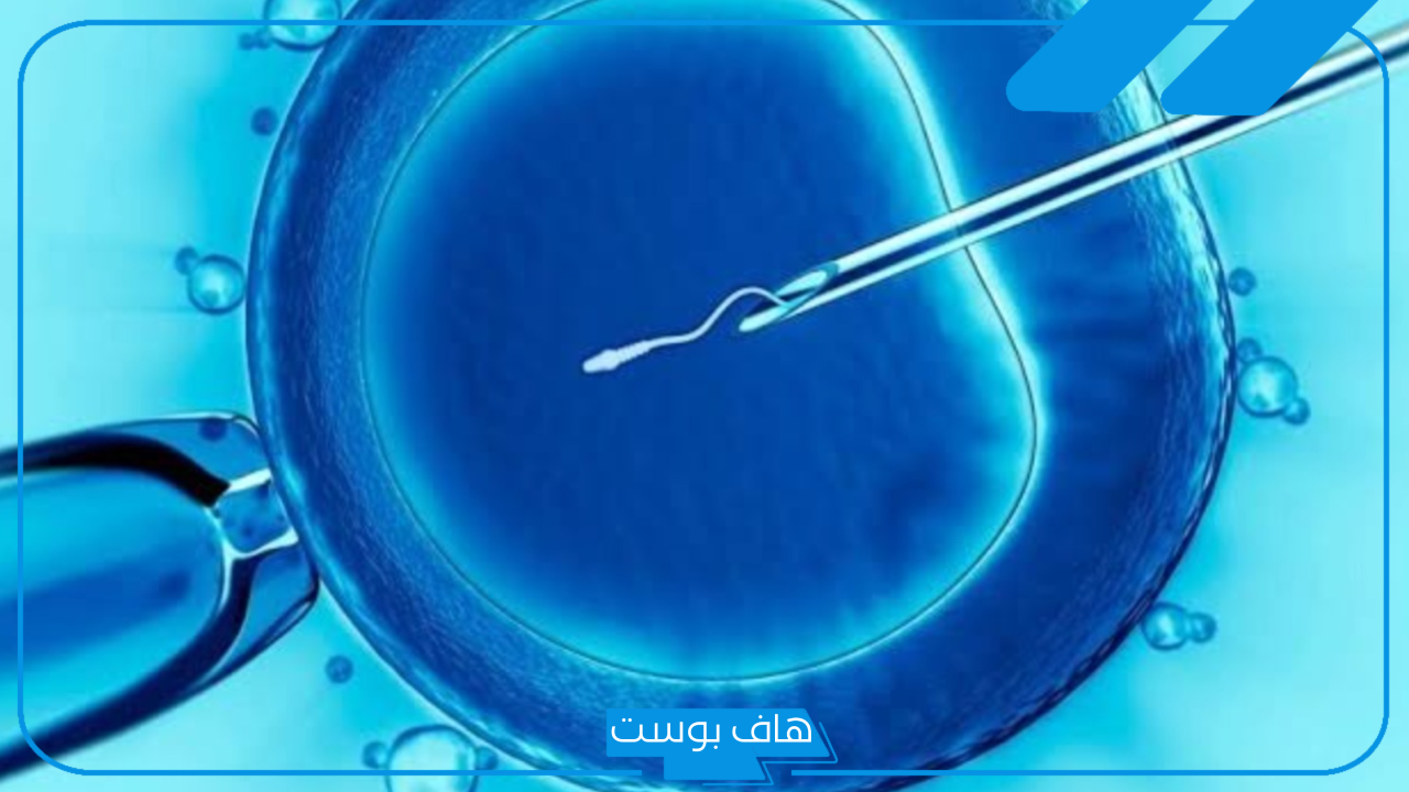 تجربتي مع الحقن المجهري بالتفصيل وأهم مراحل العملية