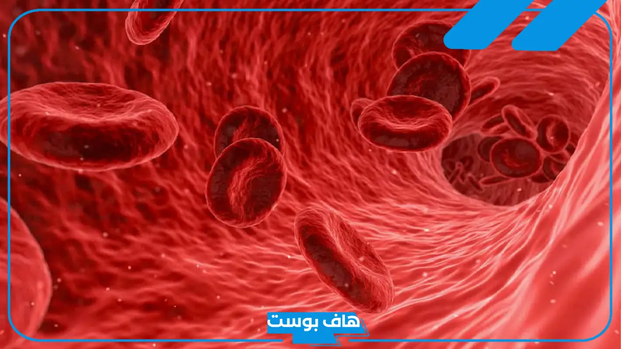 تفسير حلم نزول الدم في المنام من المهبل بغزارة للمرأة
