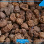 تجربتي مع حبة الملوك.. طريقة استخدام حبة الملوك لتنظيف البطن