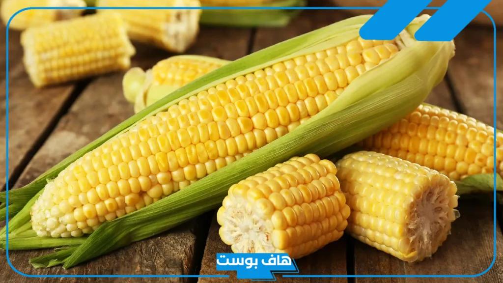 تفسير حلم اكل الذرة في المنام ورمزه الذرة الصفراء للمتزوجة والعزباء لابن سيرين