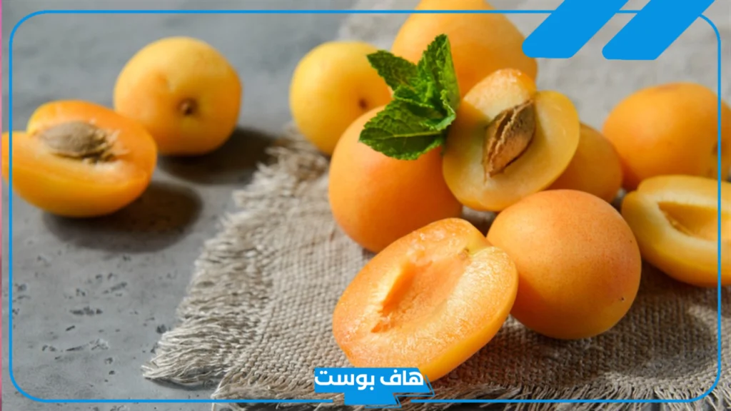 تفسير حلم اكل المشمش في المنام للرجل والمرأة الحامل والمتزوجة لابن سيرين