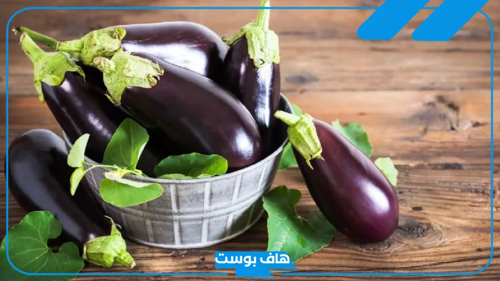 تفسير حلم الباذنجان في المنام الأسود المقلي للعزباء والمتزوجة لابن سيرين