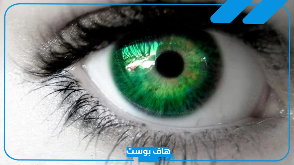 تفسير حلم العيون الخضراء في المنام ورمزها لكبار المفسرين للمتزوجة والعزباء