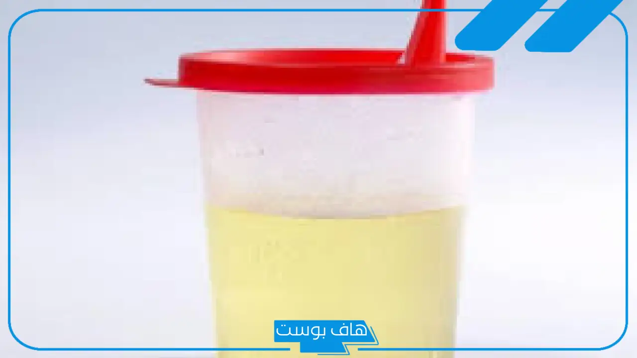 تفسير حلم البول في المنام ورؤيته على الأرض للرجل المتزوج لابن سيرين