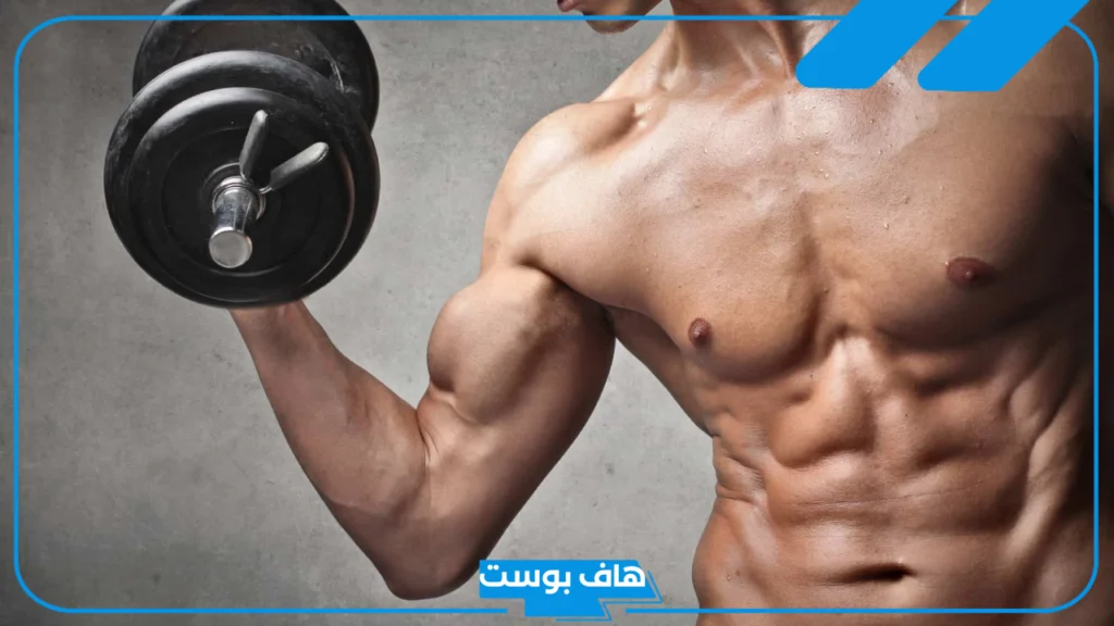 تفسير حلم رؤية العضلات في المنام لابن سيرين والنابلسي للمرأة والرجل