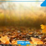 تفسير حلم رؤية ورق الشجر في المنام الأخضر والأصفر للمرأة لابن سيرين