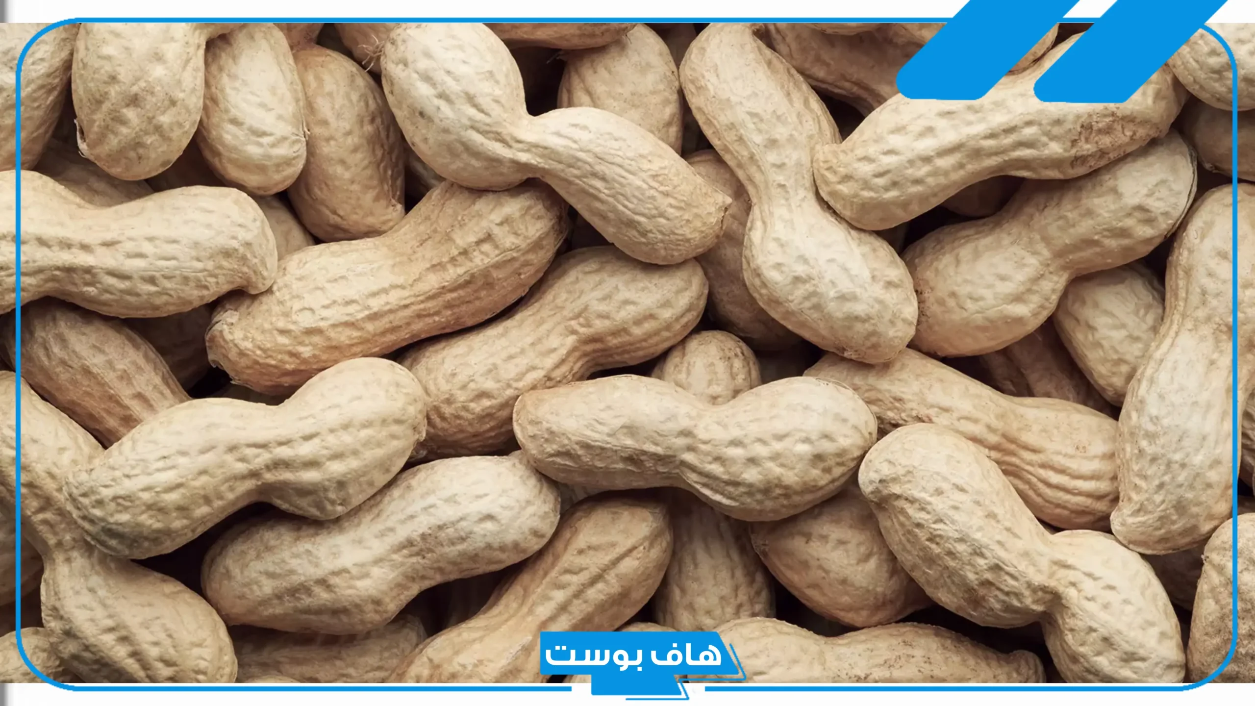 تفسير حلم اكل الفول السوداني في المنام لابن سيرين والنابلسي