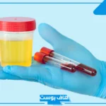 حلمت اني اتبول دم في المنام للمرأة الحامل لابن سيرين