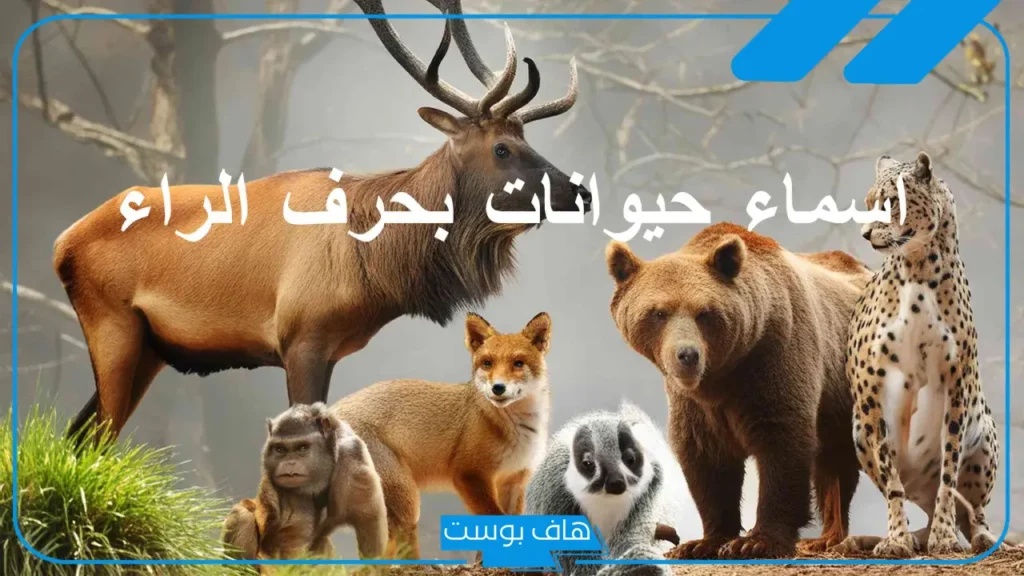اسماء حيوان بحرف ر معروفة أليفة.. أسماء حيوانات تبدأ بحرف الراء