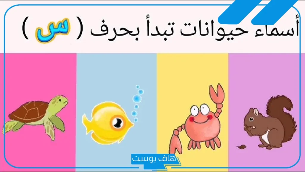أسماء حيوان بحرف س، أسماء حيوانات تبدأ بحرف السين