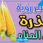 تفسير حلم اكل الذرة في المنام ورمزه الذرة الصفراء للمتزوجة والعزباء لابن سيرين