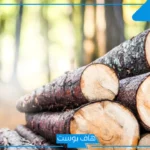 تفسير حلم الخشب للمتزوجه والحامل والعزباء والحامل في المنام