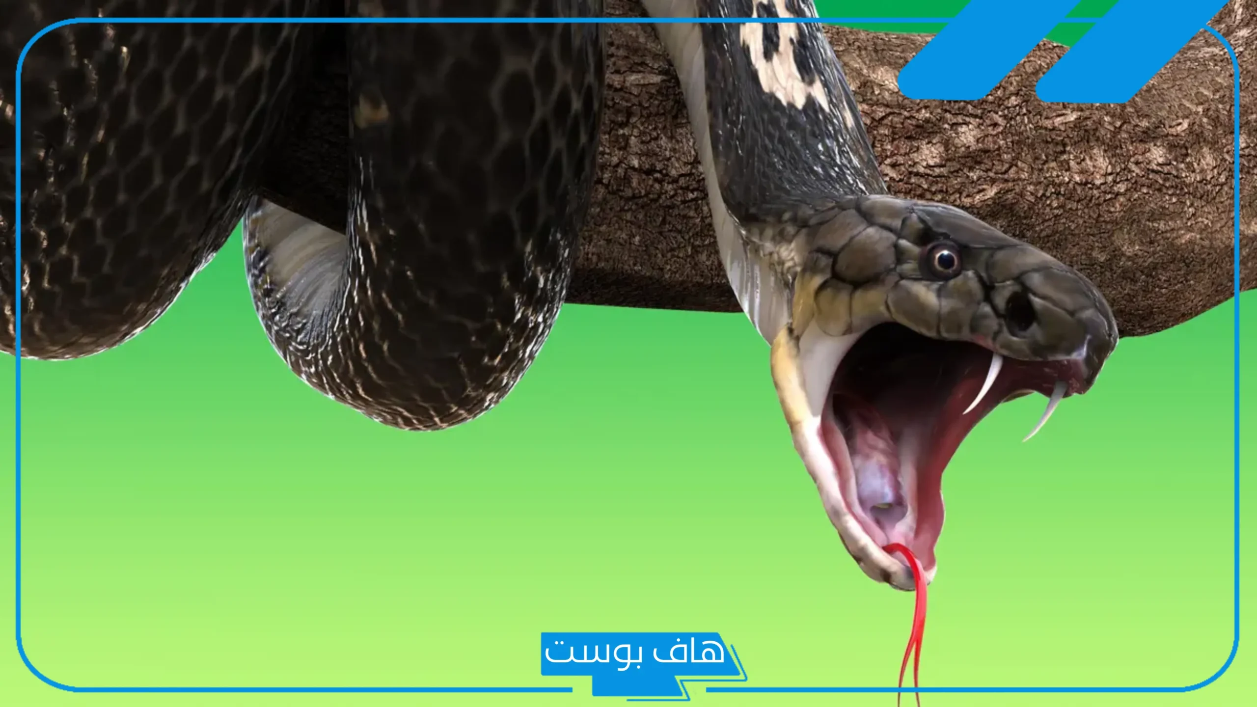 تفسير حلم قتل الثعبان في المنام يهاجمني لابن سيرين والإمام الصادق