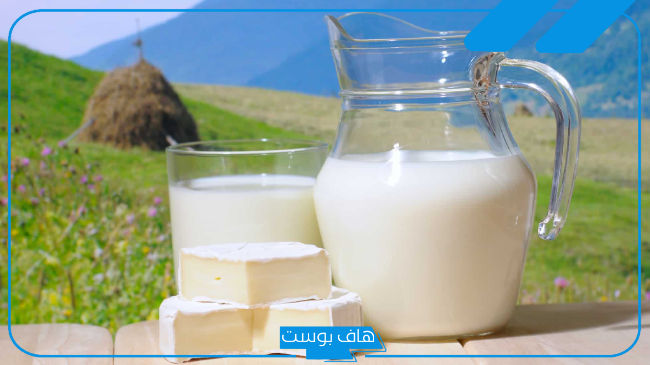 تفسير حلم اللبن في المنام للحامل والمتزوجة والعزباء لابن سيرين