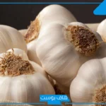 تفسير حلم الثوم في المنام ناشف وجمعه لابن سيرين وكبار العلماء