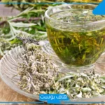 تجربتي مع شرب الشيح لعلاج مشكلات الجهاز الهضمي والقولون