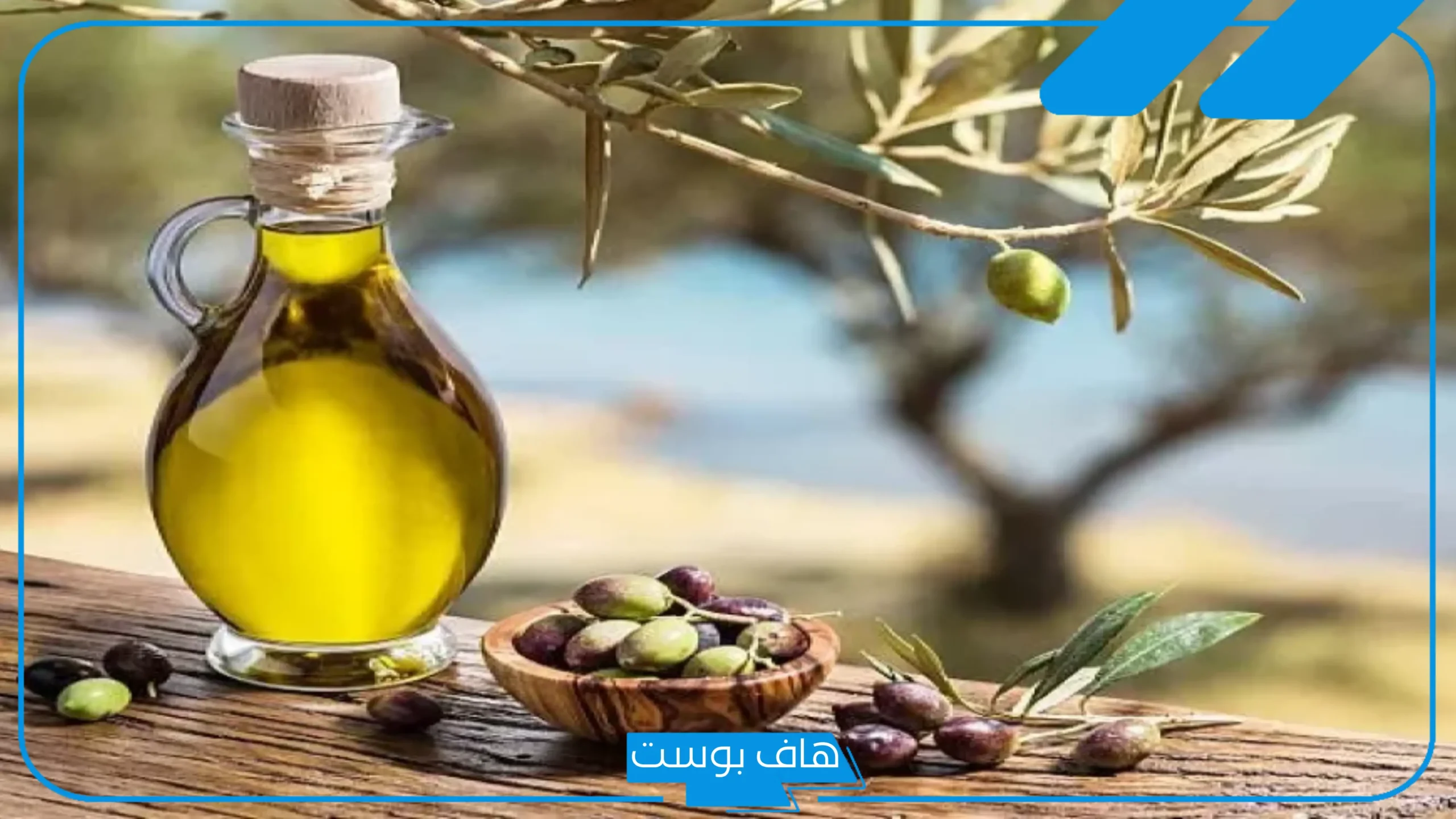 شربت زيت زيتون وولدت.. فوائد زيت الزيتون لتسهيل الولادة عالم حواء في الشهر التاسع