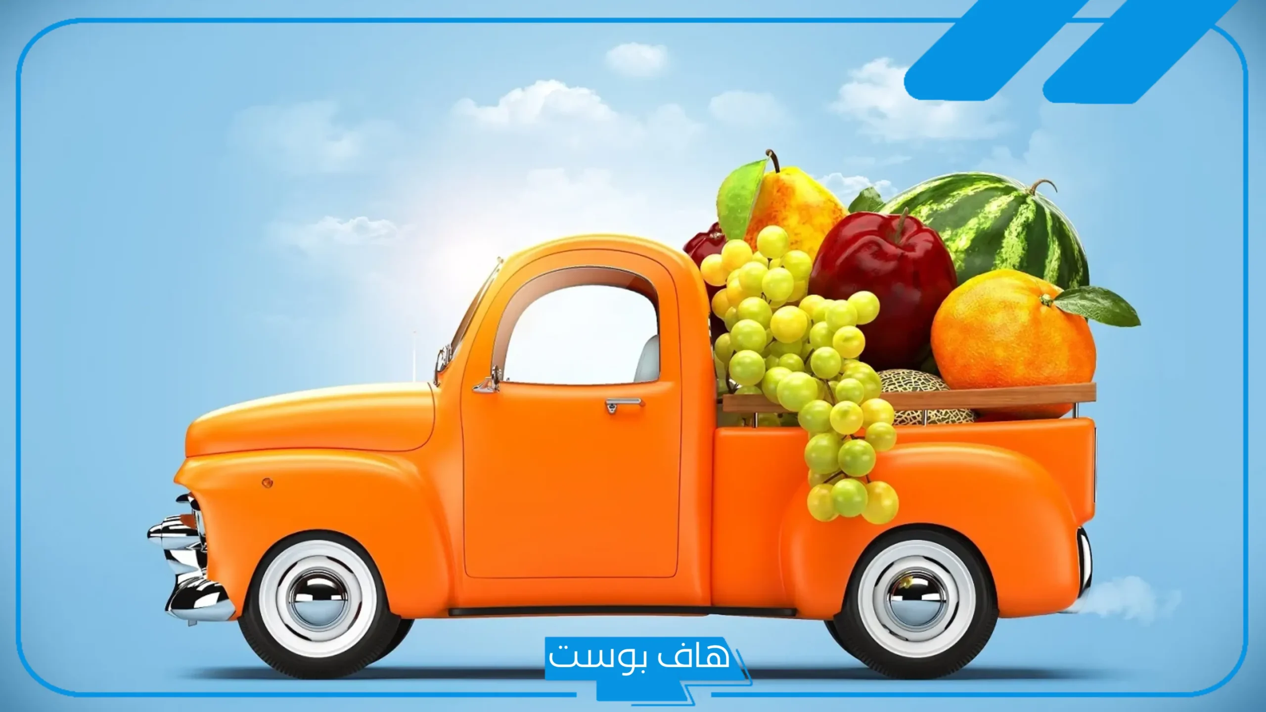تجربتي في فتح محل خضار بالمميزات والعيوب والشروط والميزانية 2025