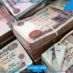 شهادات ادخار بعوائد مرتفعة.. تفاصيل عروض بنكي الأهلي ومصر من أول 1000 جنيه
