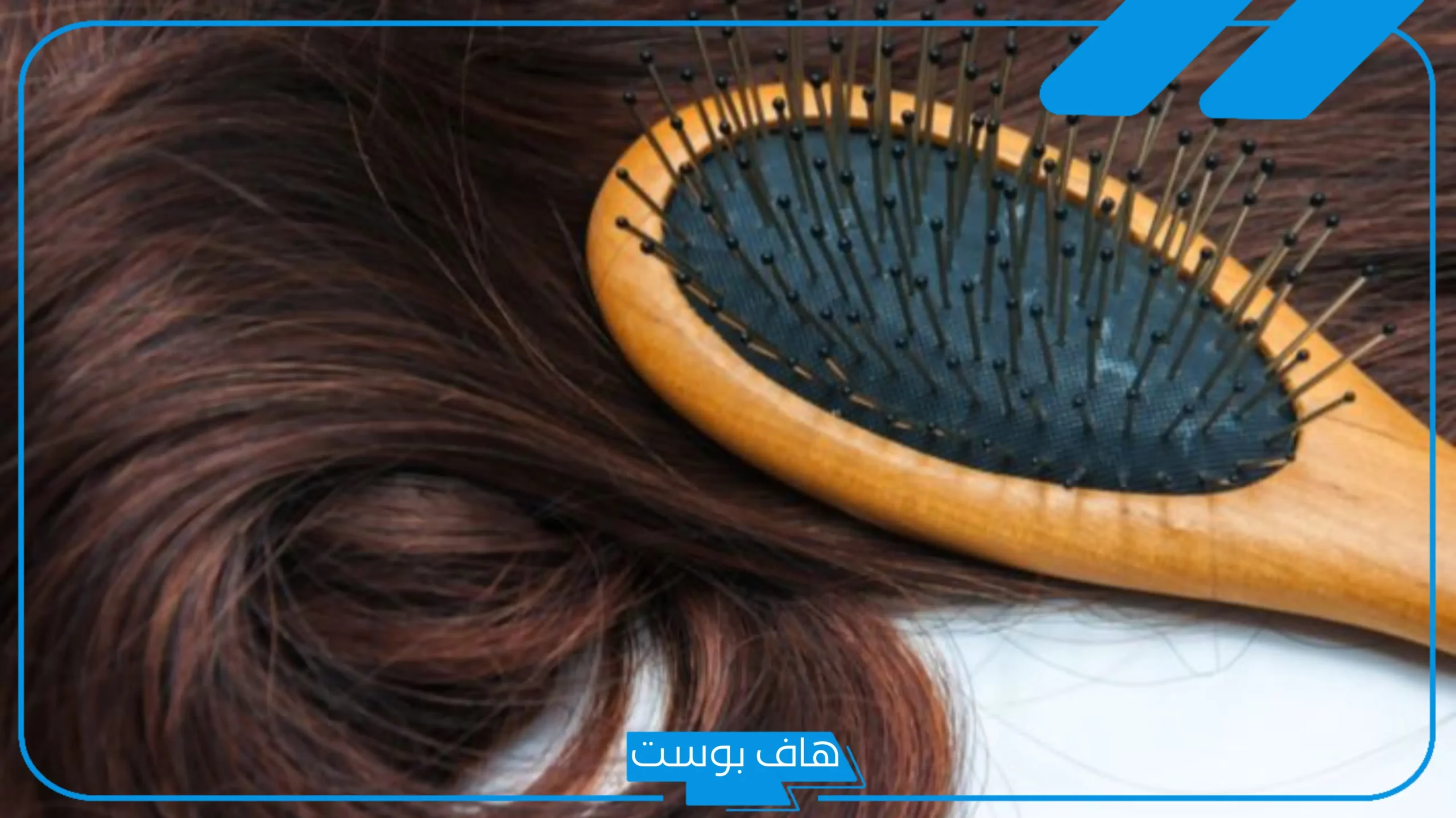 تجربتي مع زيت الفازلين للشعر عالم حواء.. هل يطول الشعر؟