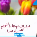 عبارات عن النجاح والتميز والتفوق في كل المجالات.. عبارات عن التفوق والاجتهاد