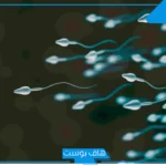 تجربتي مع تشوه الحيوانات المنوية وطرق العلاج.. زوجي عنده تشوهات 99 وحملت