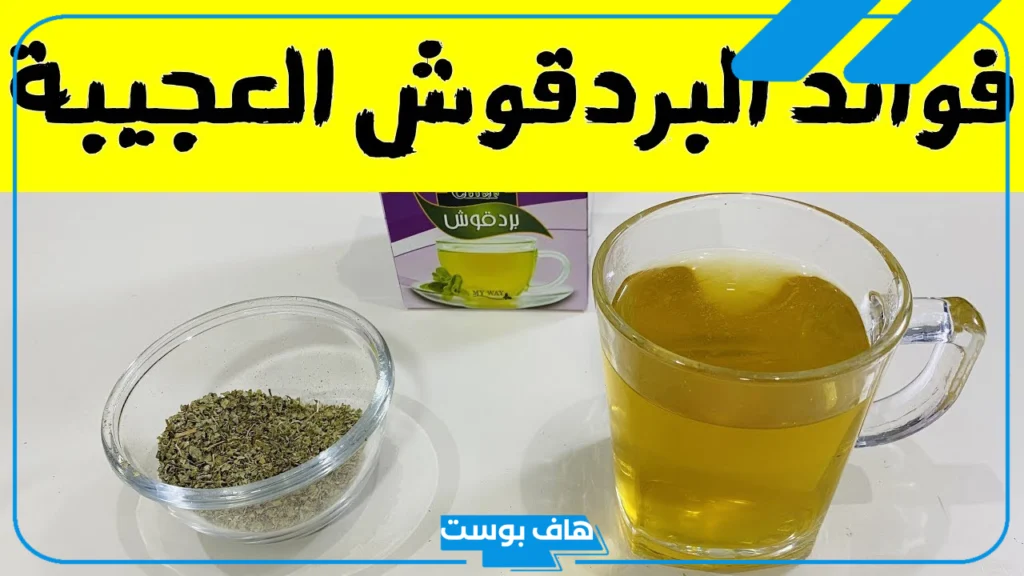 تجربتي مع البردقوش وهرمون الحليب بالأعشاب بالفوائد