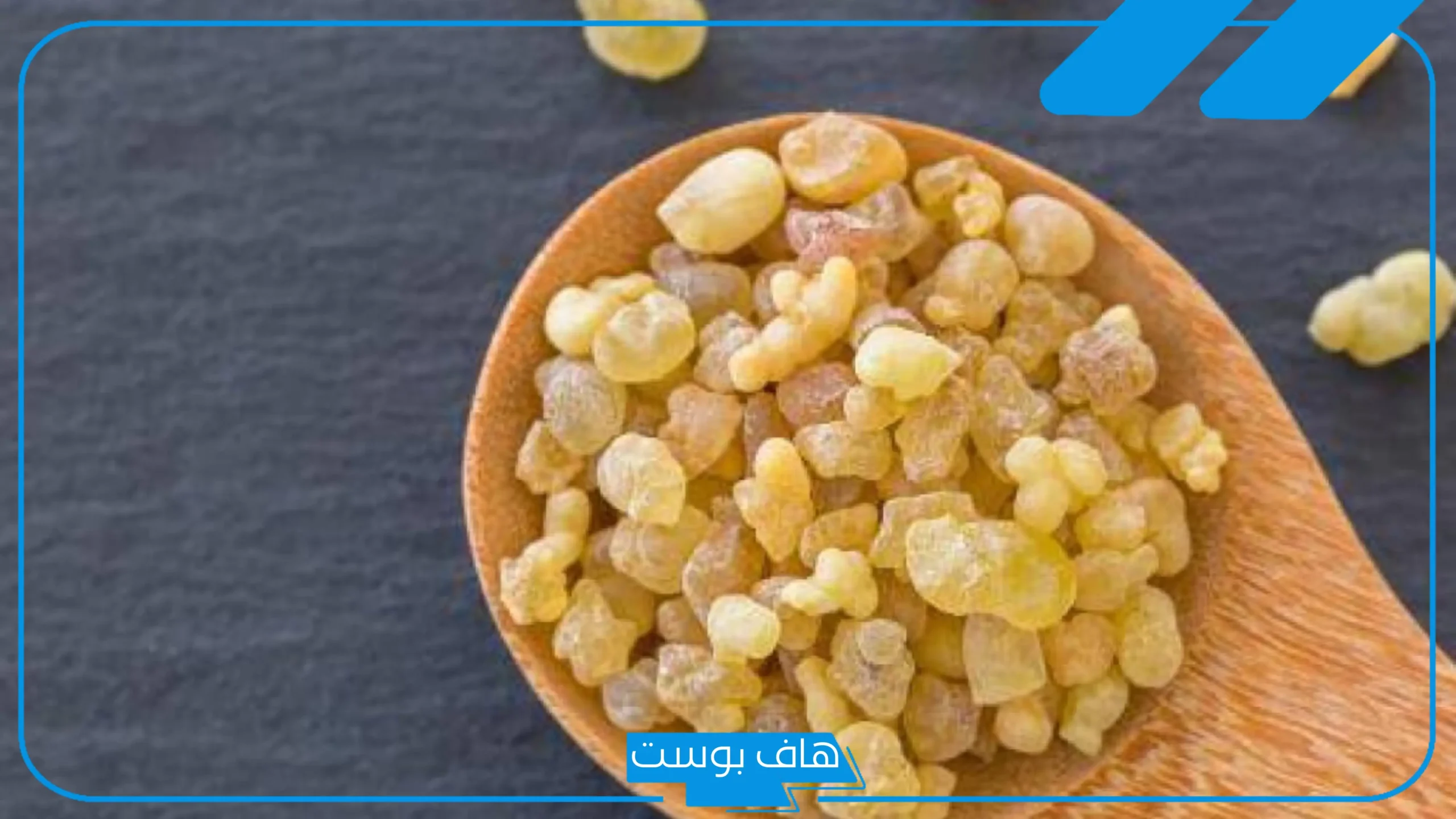 تجربتي مع شرب المر والنتيجة لعلاج الالتهابات وتأثيراته