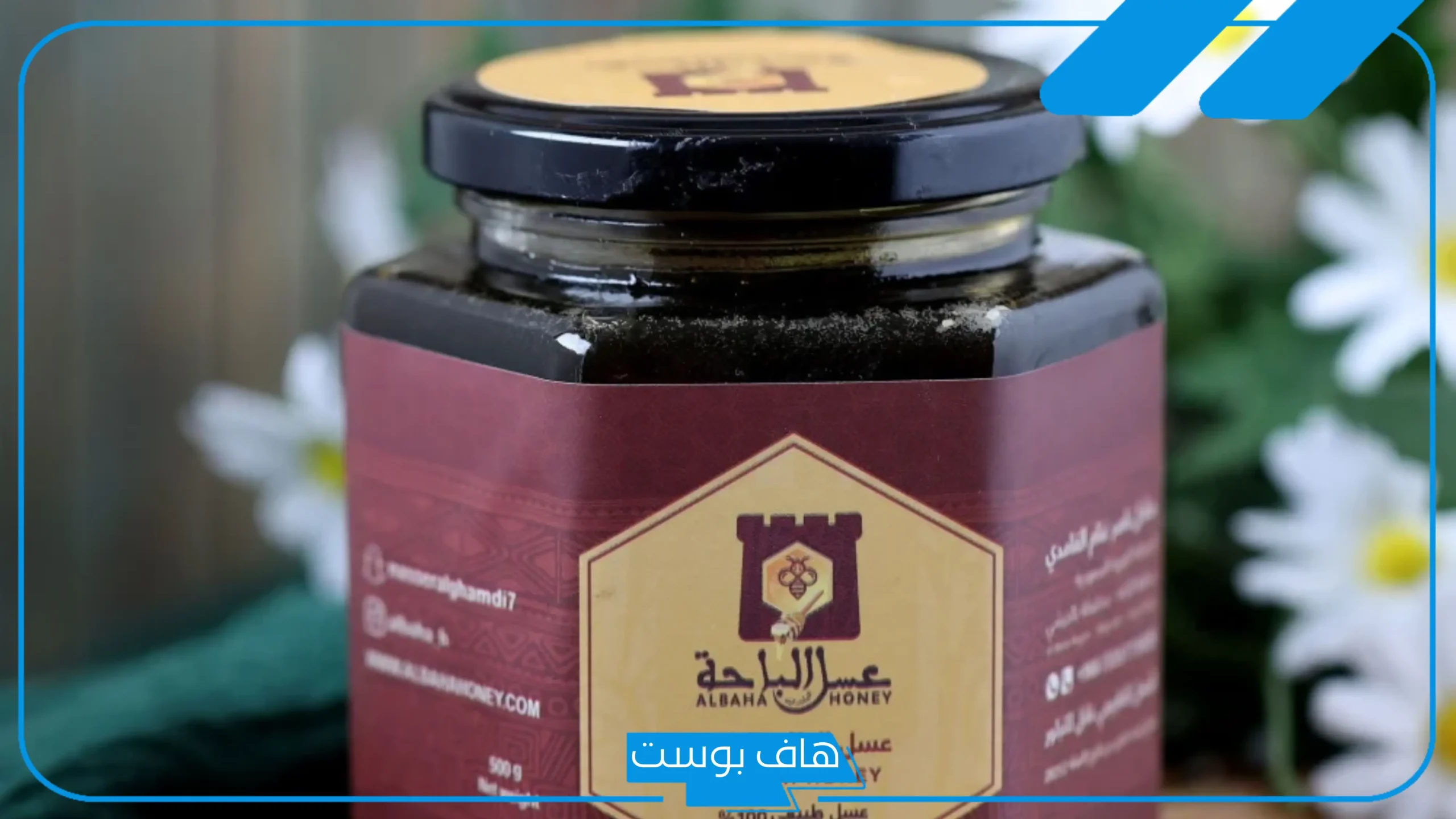 تجربتي مع عسل الطلح بالفوائد والأضرار للرجال والنساء