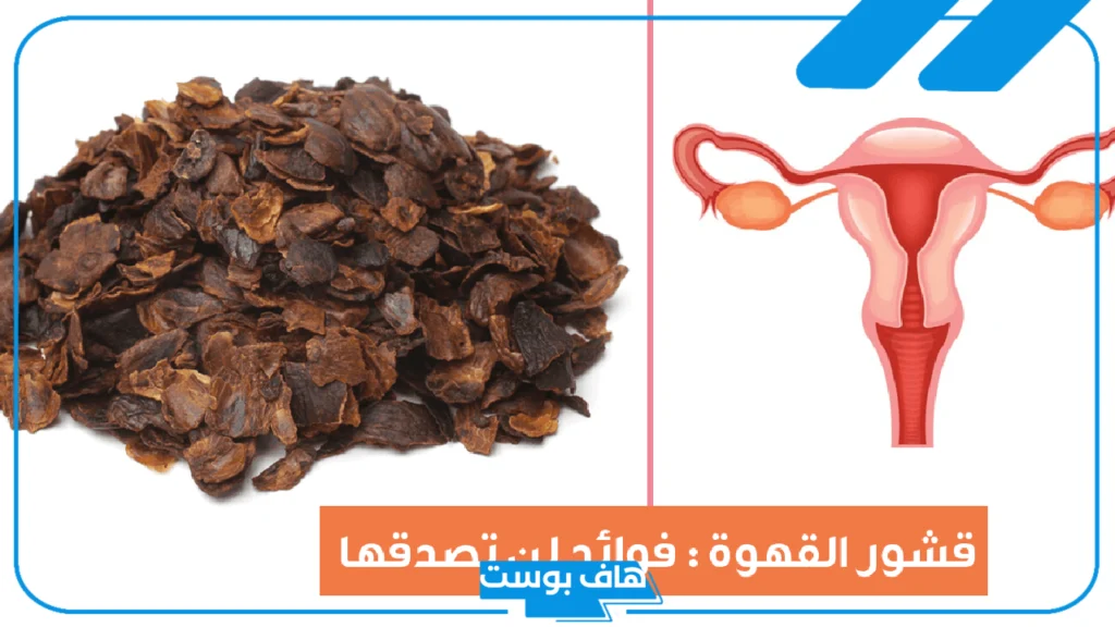 تجربتي مع قشر القهوه للتنحيف والتخسيس.. فوائد قشر القهوة للنساء