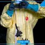 هل عاد كورونا؟.. فيروس جديد في الخفافيش البرازيلية يثير قلق العلماء