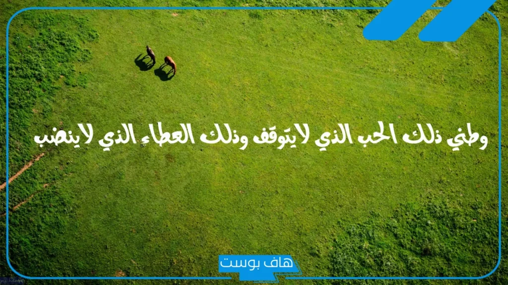 عبارات عن الوطن قصيرة وحب الوطن مؤثرة، أجمل عبارات تُعبر عن حب الوطن بالإنجليزي