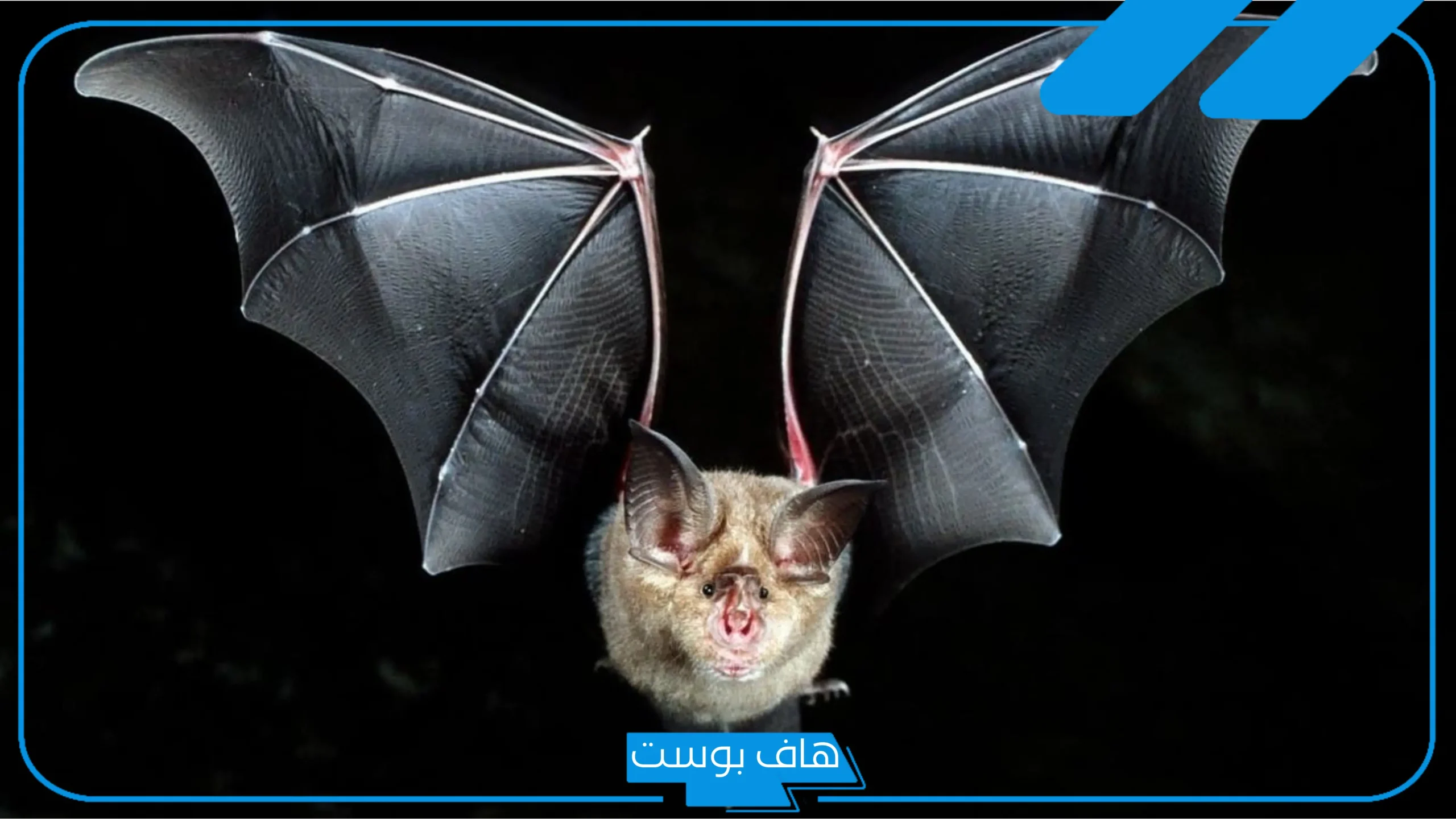 ما هو الشيء الذي لم يخلقه الله ولم يصنعه البشر؟