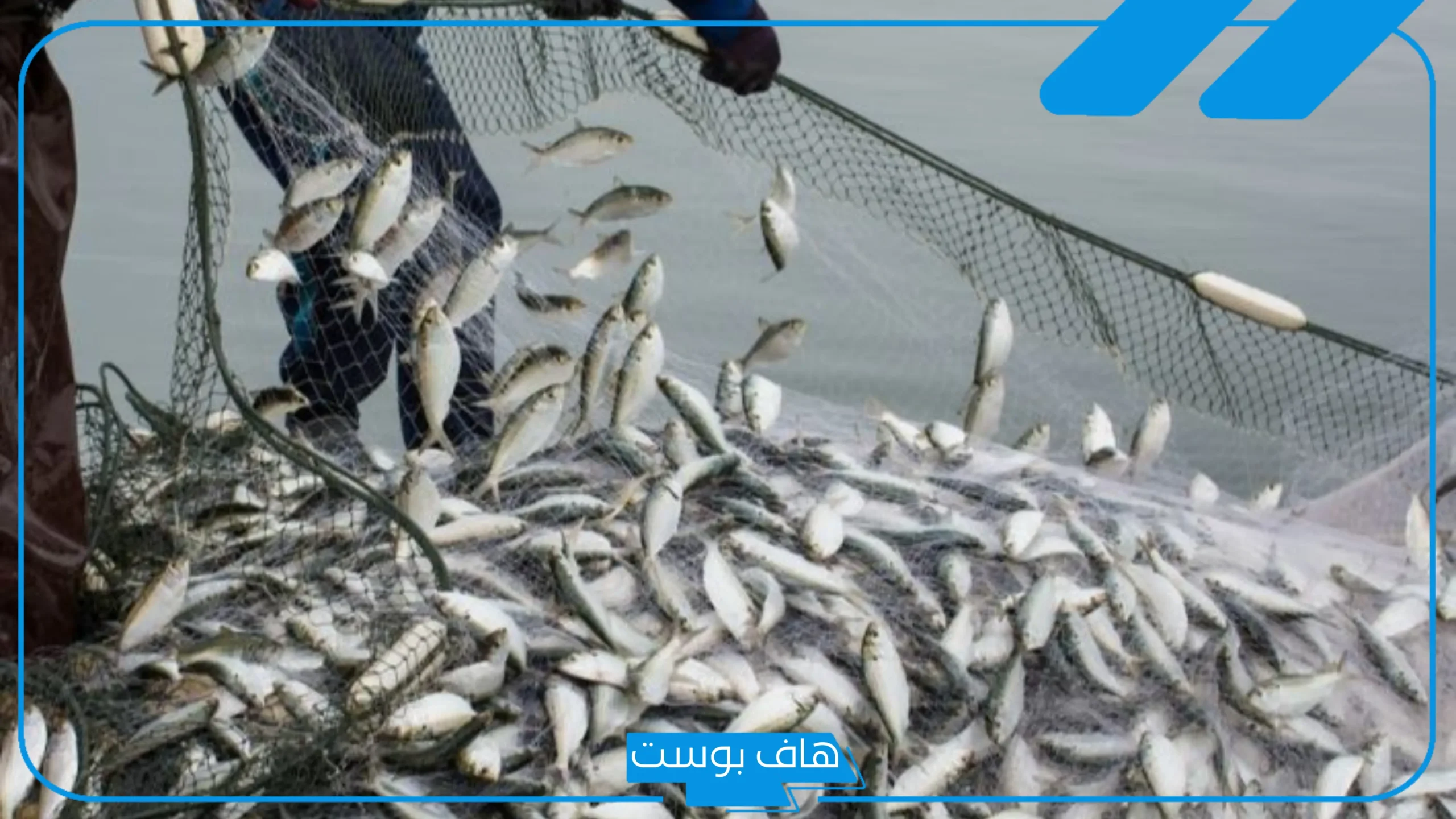 ما هو الشيء الذي ترميه كلما احتجت إليه؟