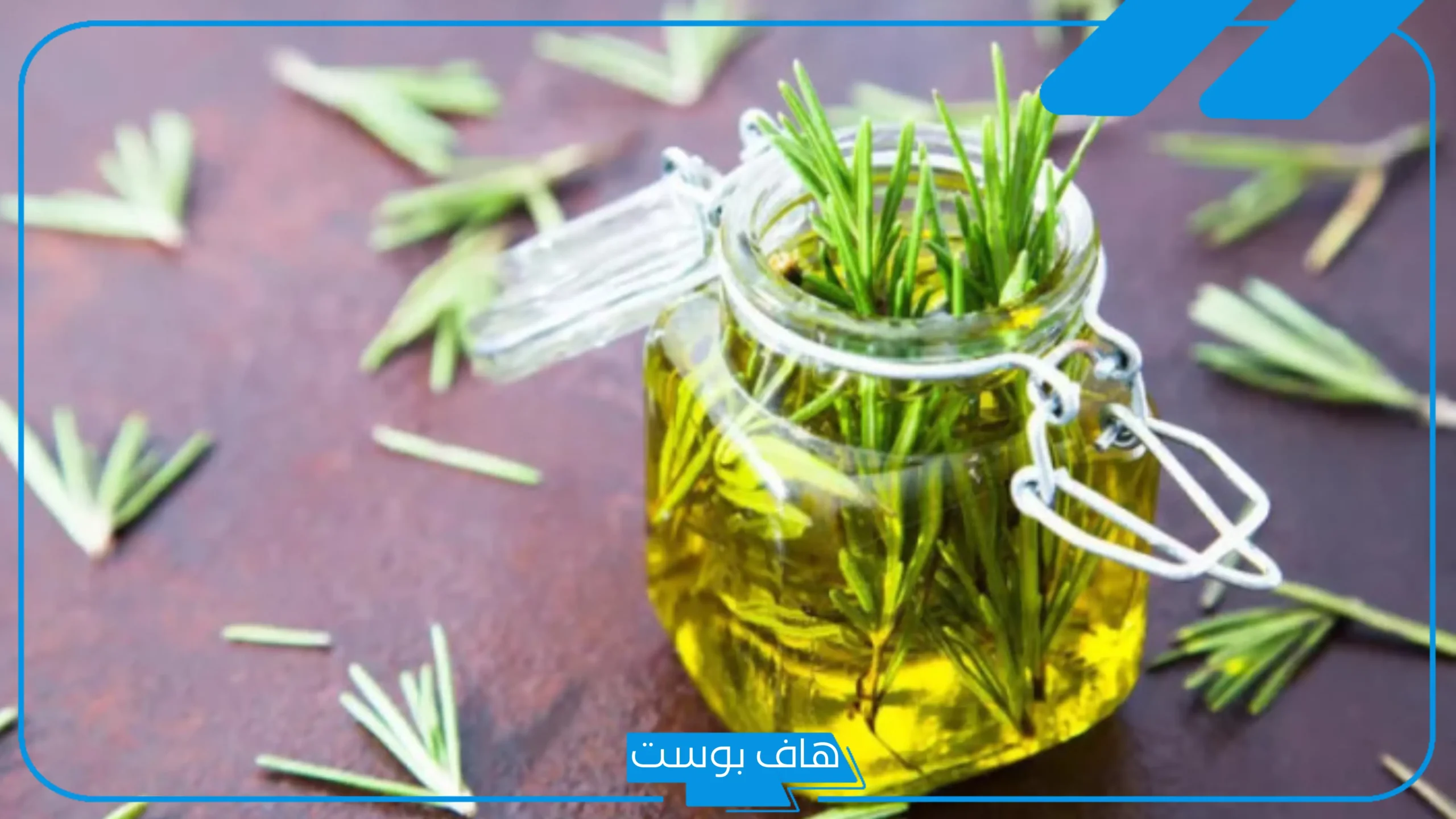 تجربتي مع زيت إكليل الجبل للشعر لتنعيمه وتكثيفه