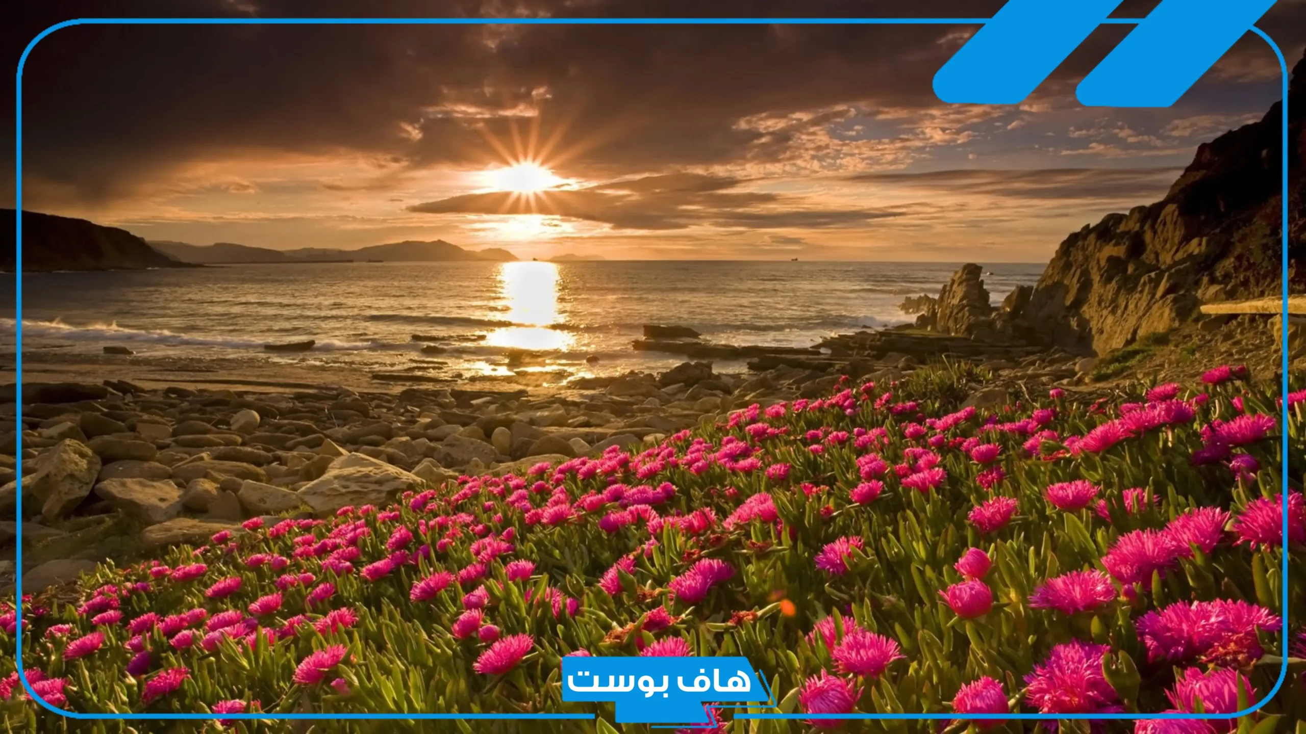 تفسير حلم يوم القيامة وطلوع الشمس من المغرب في المنام لابن سيرين