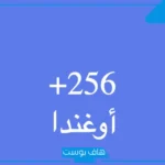 256 مفتاح اي دولة؟ +1(256) إلى أي منطقة ينتمي؟