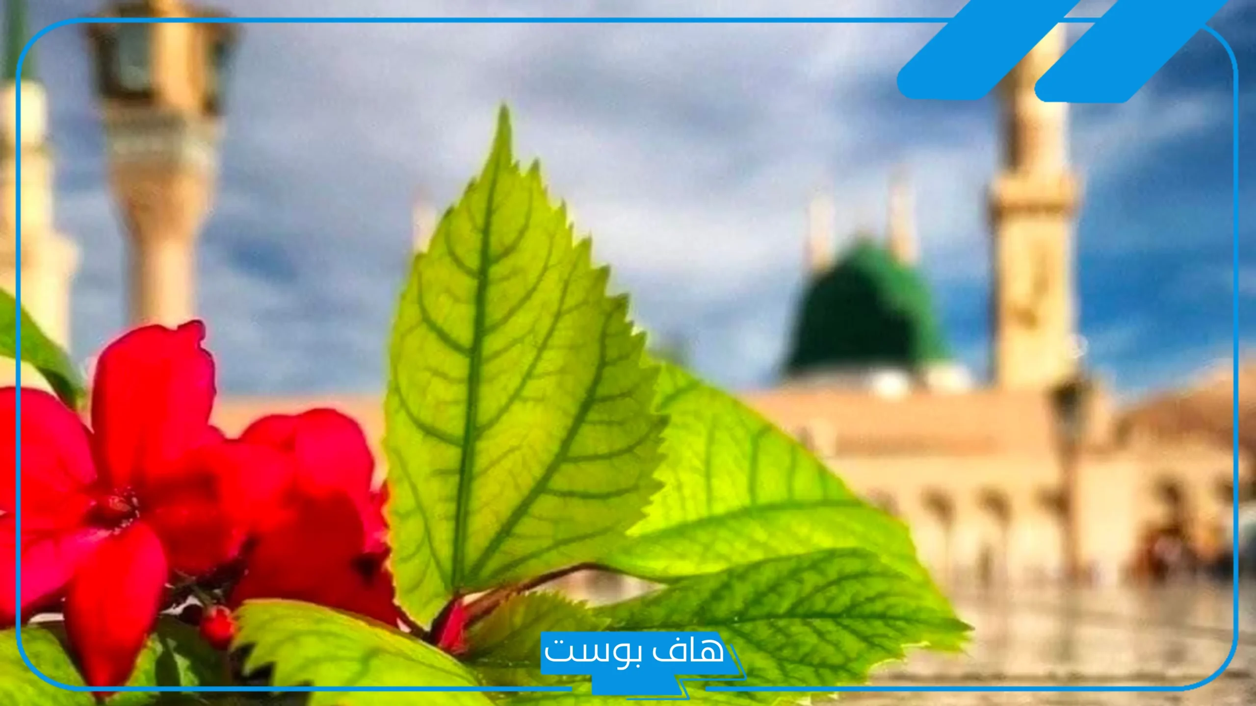 مواقيت الصلاة اليوم الخميس 27 مارس 2025 في مختلف محافظات مصر