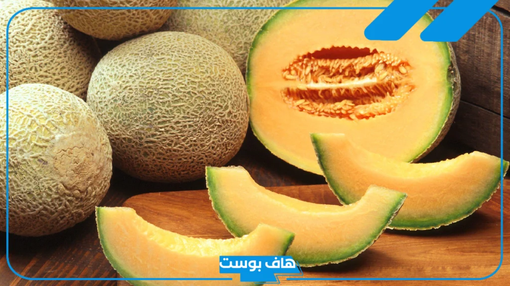 اسم نبات بحرف الشين .. أسماء نباتات تبدأ بحرف ش من ثلاث وأربع حروف